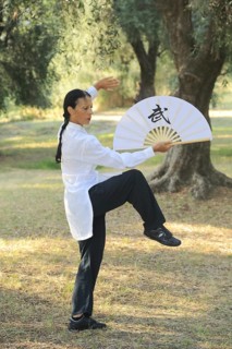 Tai Chi performed with a fan