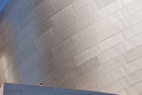Walt Disney Concert Hall by Frank Gehry