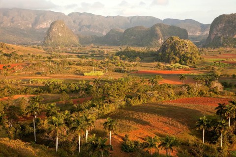 Landscape with Karst mountains and the cultivation of tobacco