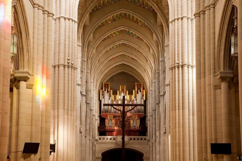 Organ