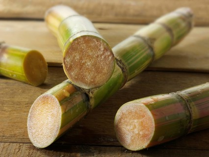 Sugarcane stalks