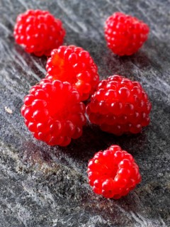 Japanese wine berry (Rubus phoenicolasius)