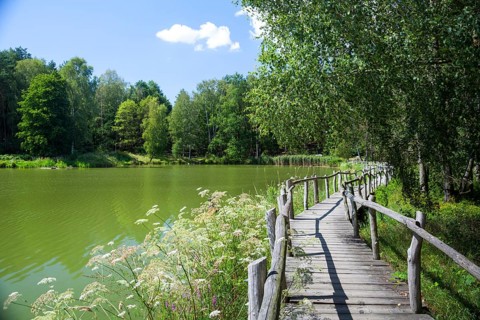 Beaver Trail