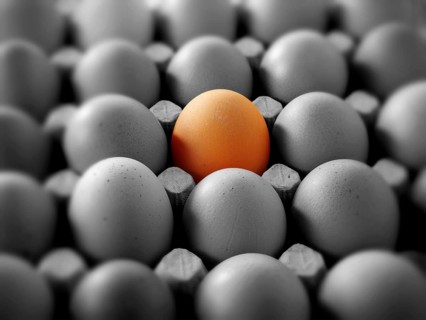 One coloured egg in a tray of black and white eggs