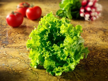 Fresh Batavia lettuce