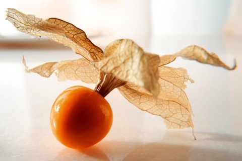 Cape gooseberry (Physalis peruviana)