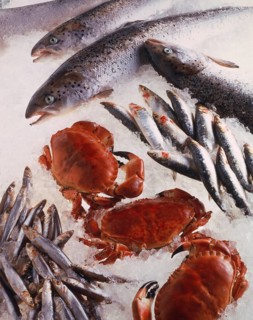 Fresh sardines