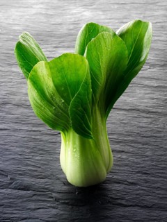 Fresh Pak Choi leaves