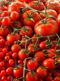 Mixed Beefsteak