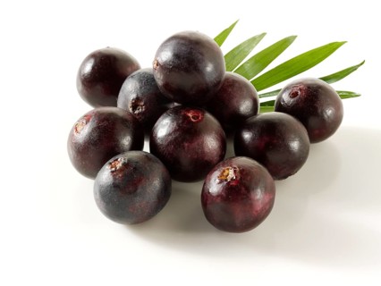 Fresh whole Acai berries (Euterpe oleracea)