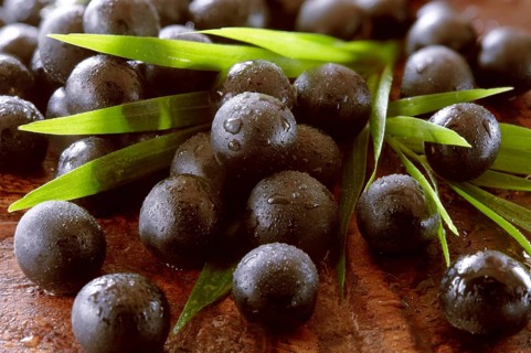 Fresh whole Acai berries (Euterpe oleracea)