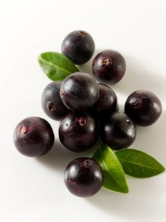 Fresh whole Acai berries (Euterpe oleracea)