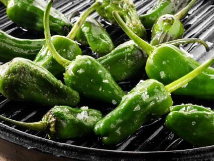 Griddled whole padron peppers