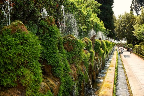 The Hundred Fountains