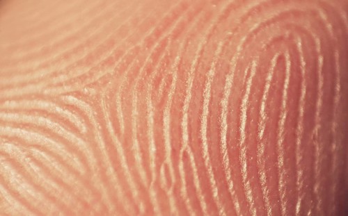 Fingerprint