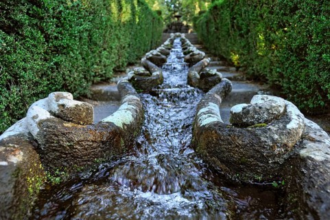 Water chain or canal of shrimps