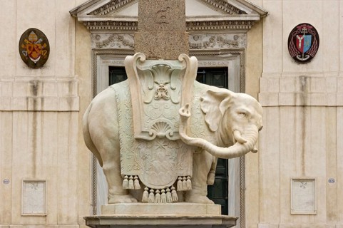 Pulcino della Minerva