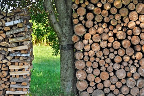 Stack of wooden logs