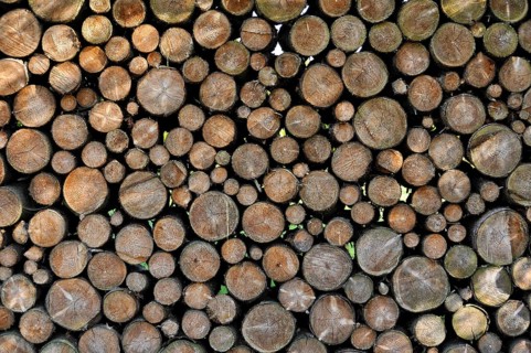 Stack of firewood