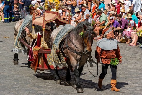 Duke Ludwig the Rich being carried in a litter of horses