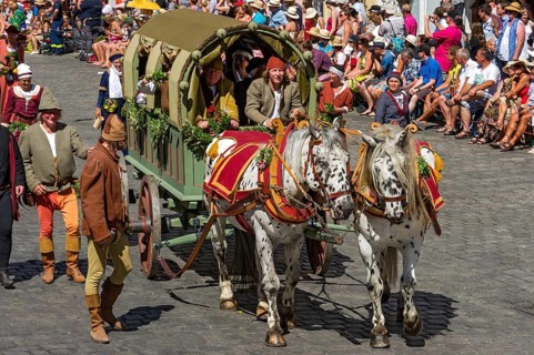 Horse-drawn covered wagon