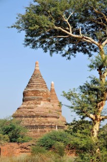 Pagodas in Bagan Pagoda Field