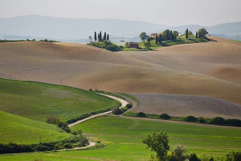 Hilly landscape of the Crete Senesi region
