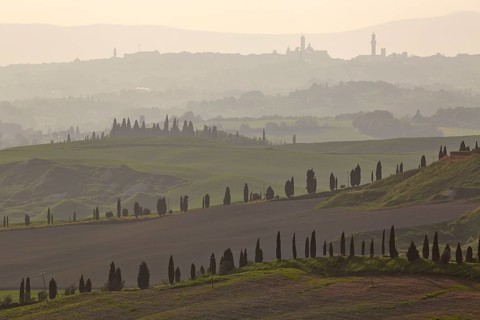 Cypress-lined roads and graded hills