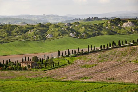 Hilly landscape of the Crete Senesi region