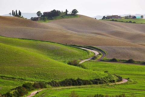 Hilly landscape of the Crete Senesi region