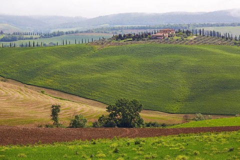 Hilly landscape of the Crete Senesi region