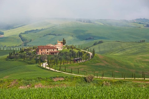 Hilly landscape around Podere Baccoleno