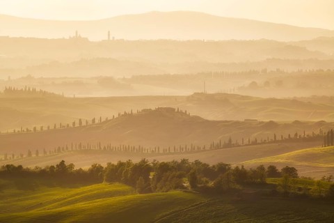 Cypress-lined roads and graded hills