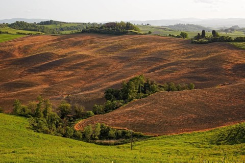Hilly landscape of the Crete Senesi region