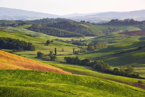 Hilly landscape of the Crete Senesi region