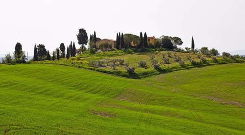 Estate with a garden and a surrounding field