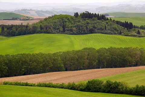 Hilly landscape of the Crete Senesi region