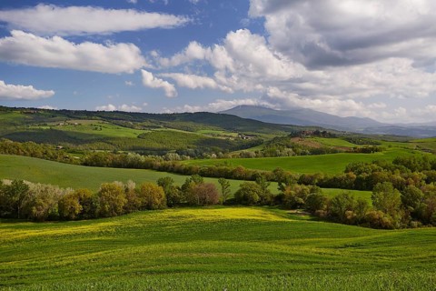 Hilly landscape of the Crete Senesi region