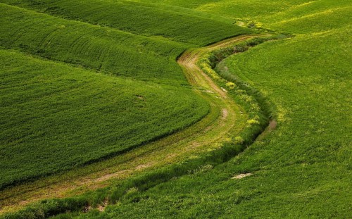 Hilly fields in the Crete Senesi region