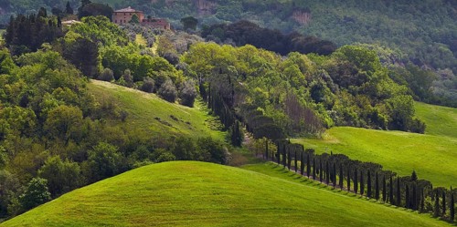 Hilly landscape of the Crete Senesi region