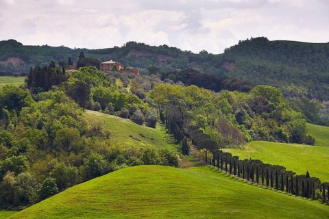 Hilly landscape of the Crete Senesi region