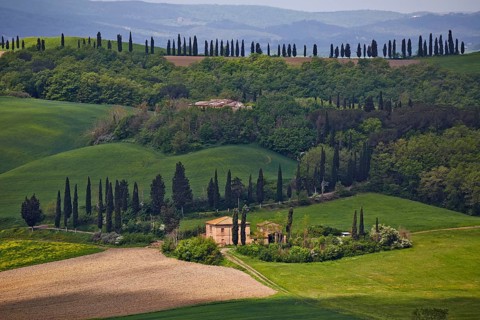 Hilly landscape of the Crete Senesi region
