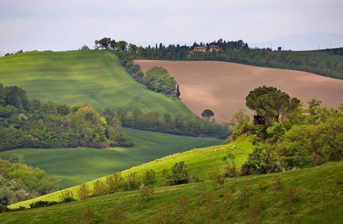 Hilly landscape of the Crete Senesi region