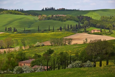 Hilly landscape of the Crete Senesi region