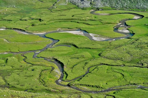 Meandering stream through the Timmelsalm alpine pasture