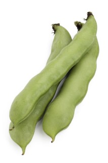 Broad beans (Vicia faba)