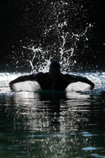 Man swimming with a butterfly stroke in a lake in Sonthofen