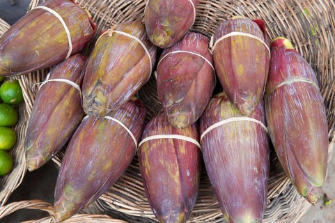 Banana flowers for sale at a market