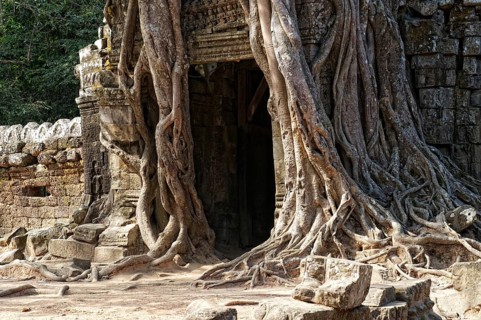 Trees growing over a gate at the temple of Ta Som