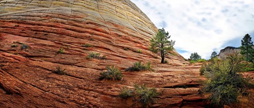The Checkerboard Mesa